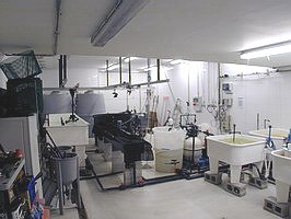 L503.jpg