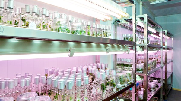 IMG_Biologics1.jpg