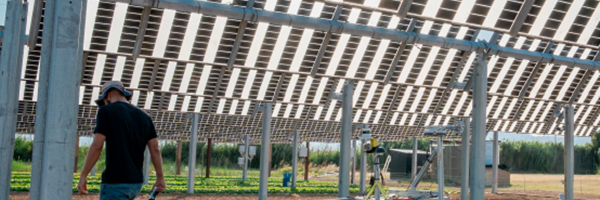 Agròpolis acull la primera instal·lació agrivoltaica en horticultura