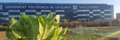 Convocatòria horts per auto-consum als camps experimentals EEABB (quadrimestre primavera)