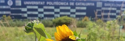 Convocatòria horts per auto-consum als camps experimentals EEABB (quadrimestre tardor)