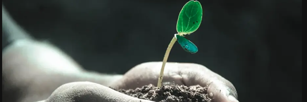 El nostre professor Raul Sánchez, a Onda Cero, presentant el projecte que estudia l'adaptació de les plantes al canvi climàtic